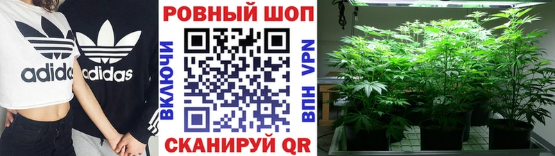 Купить наркотики сайты Заозёрный Кокаин  Alpha PVP  Конопля 