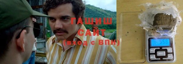 СК Алексин