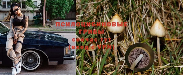 СК Алексин