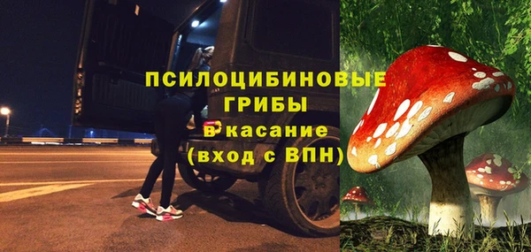 молекула духа Алексеевка