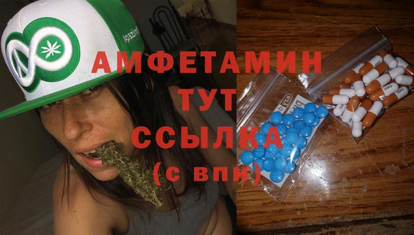 молекула духа Алексеевка