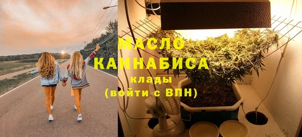 СК Алексин