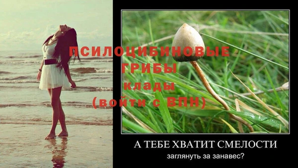 молекула духа Алексеевка