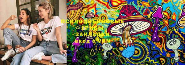 PSILOCYBIN Алзамай