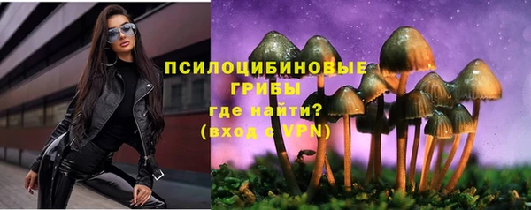 PSILOCYBIN Алзамай